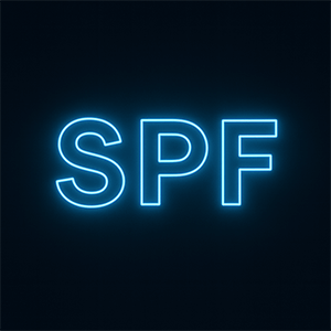SPF record DNS lookup and analysis